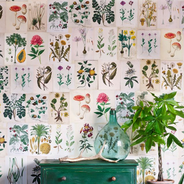 Green, Wallpaper, Chest of drawers, Furniture, Wall, Room, Chest, Interior design, Plant, Interior design, 