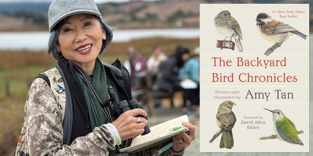 amy tan, backyard bird chronicles