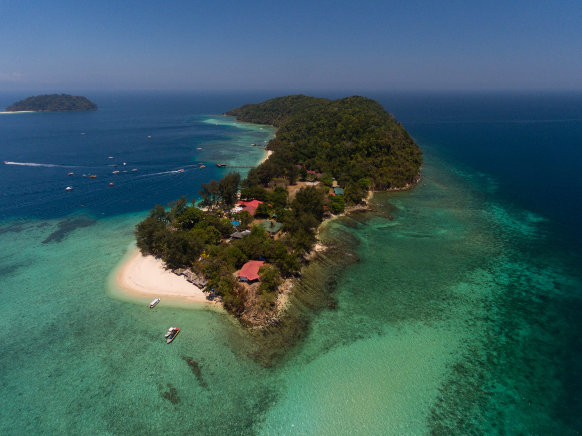 Borneo tours - Borneo orangutan tour