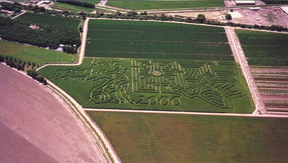 cornfield maze in la union, new mexico