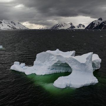 8th national antarctic science expedition shows antarctic ice, size of turkiye, has melted
