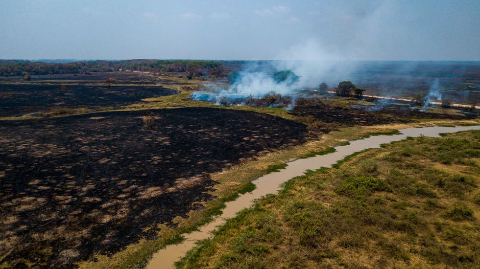 fires ravage the pantanal
