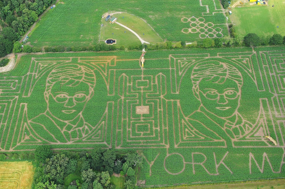 the harry potter themed york maze