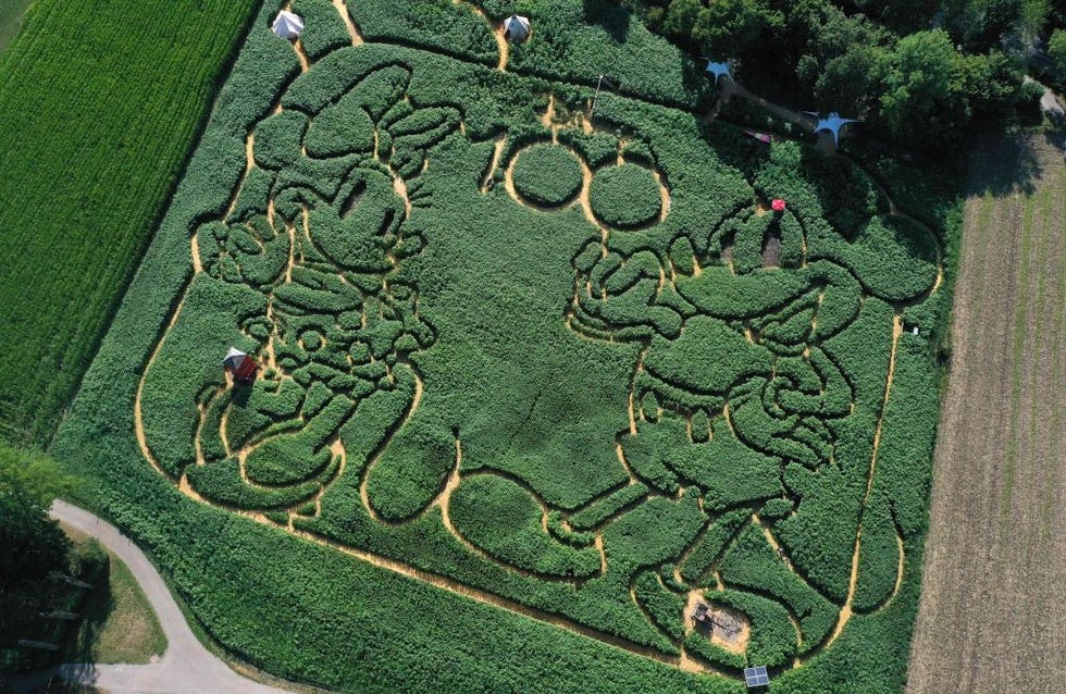 topshot germany agriculture disney maze