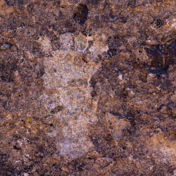 Ancient Rock Art At Risk Of Vandalism And Destruction ancient rock art at risk of vandalism and destruction