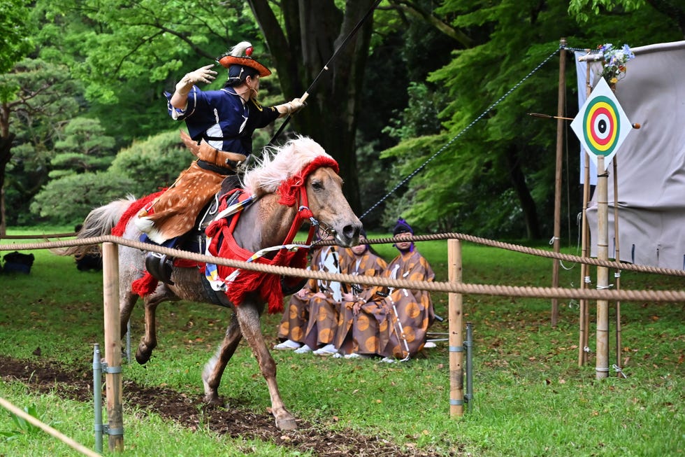 Guerrero Samurai