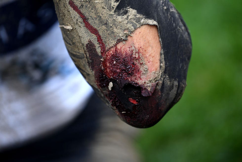 paris roubaix