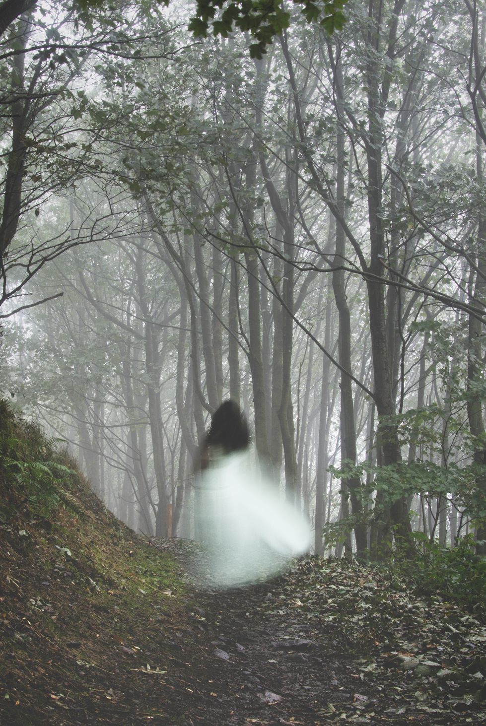 an out of focus, blurred ghostly woman wearing a white dress, running away from the camera on a misty autumn day in a forest