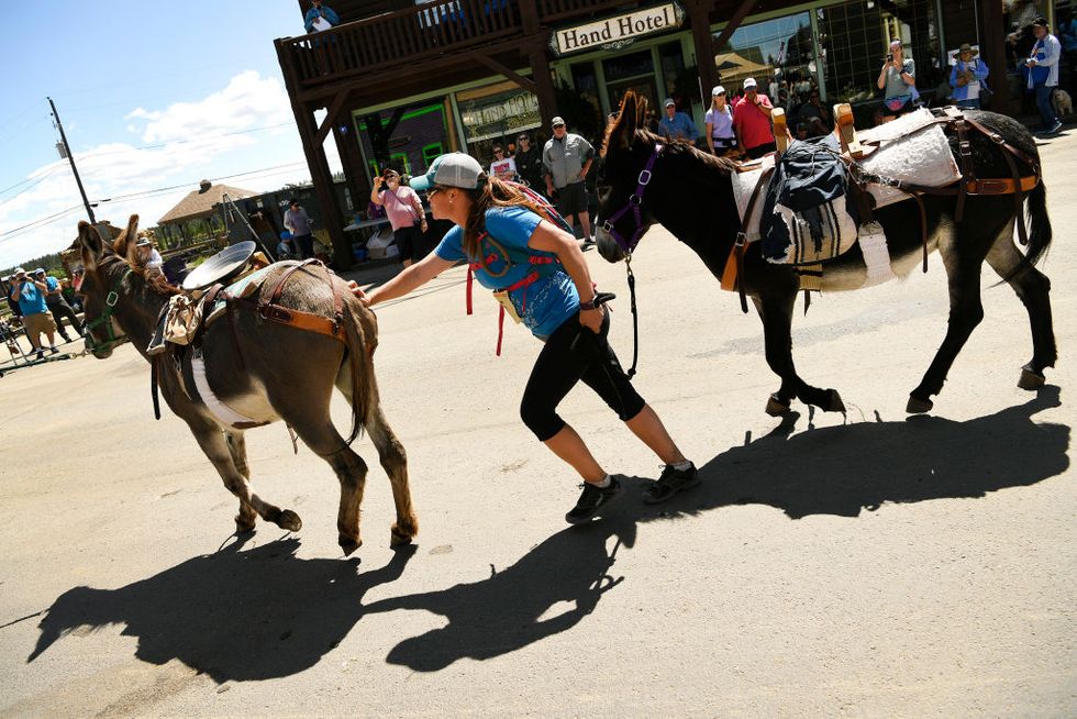 71st annual burro days and burro pack race
