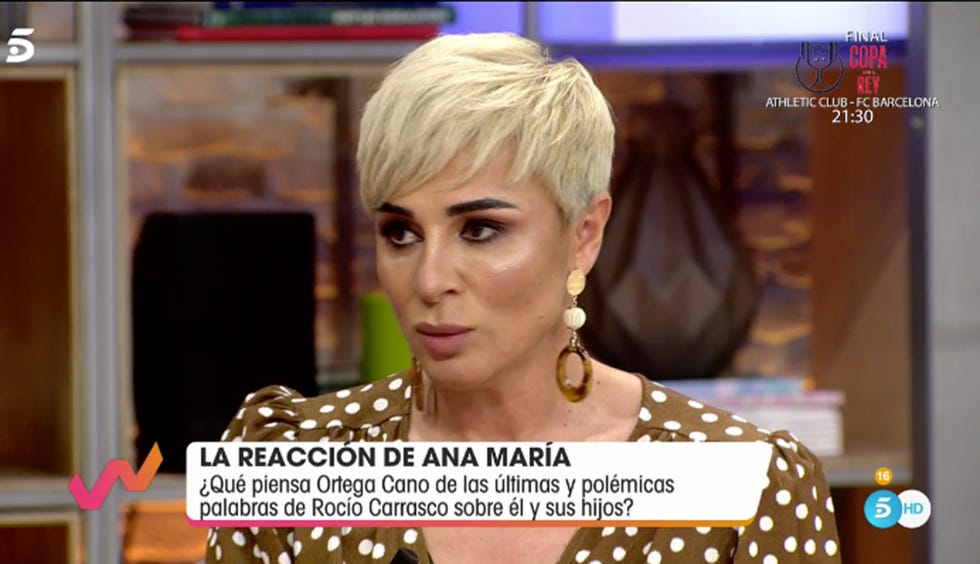 ana maría aldón niega la relación de ortega cano con antonio david