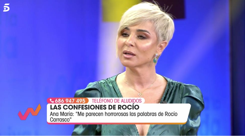 ana maría aldón niega la relación de ortega cano con antonio david