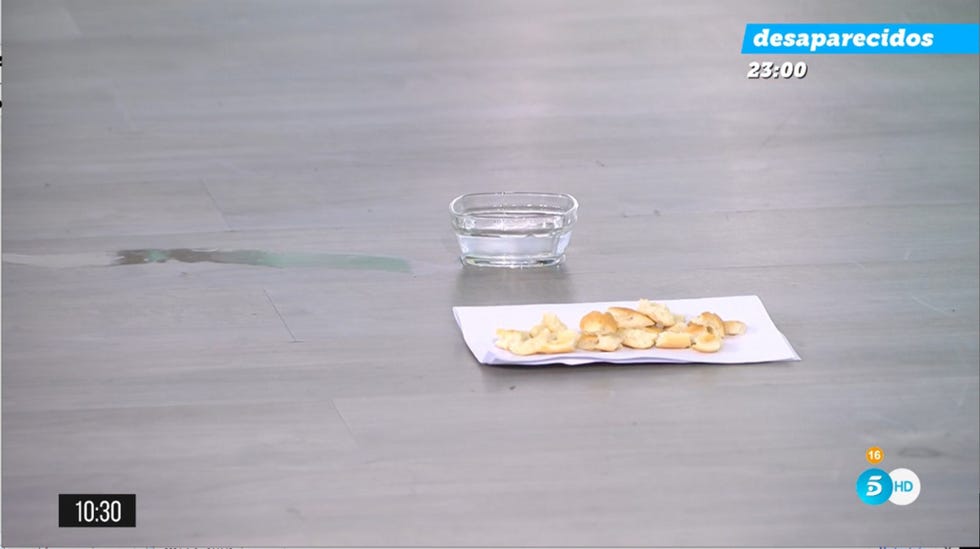se cuela un pájaro en 'el programa de ana rosa' y le ponen comida