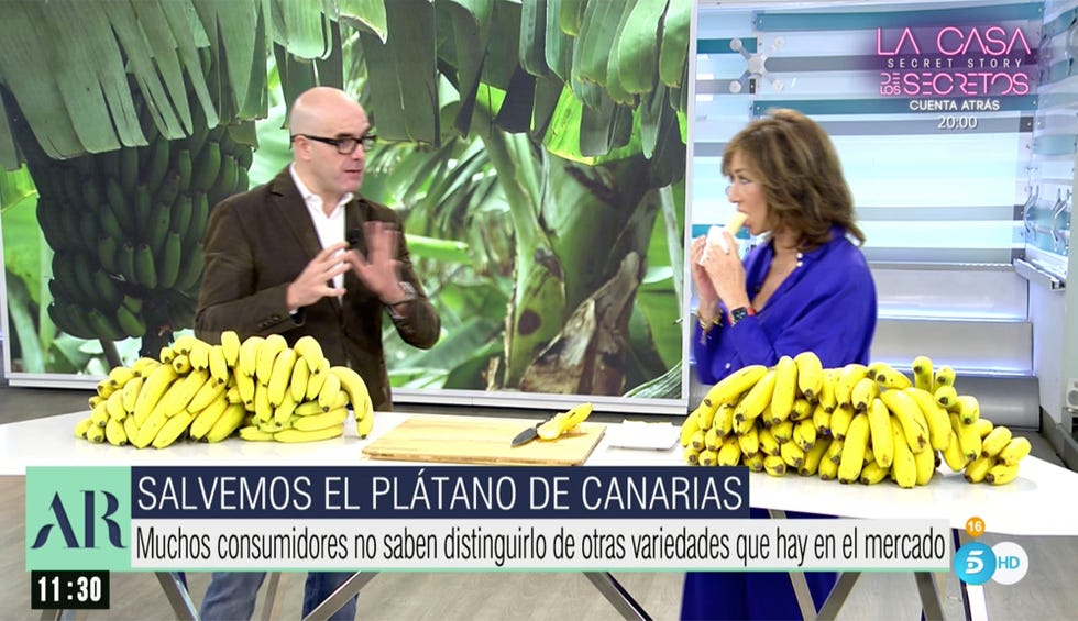 la presentadora come un plátano en su plató