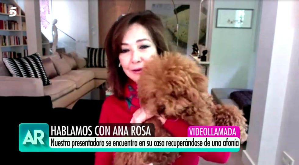 ana rosa quintana vuelve a la tele desde su casa y enseña a su perro harry