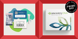 ancestrydna kit including components for dna collection and activation