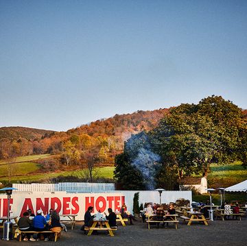 the andes hotel in andes new york