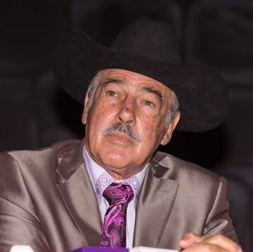 andrés garcía, actor de telenovelas mexicanas