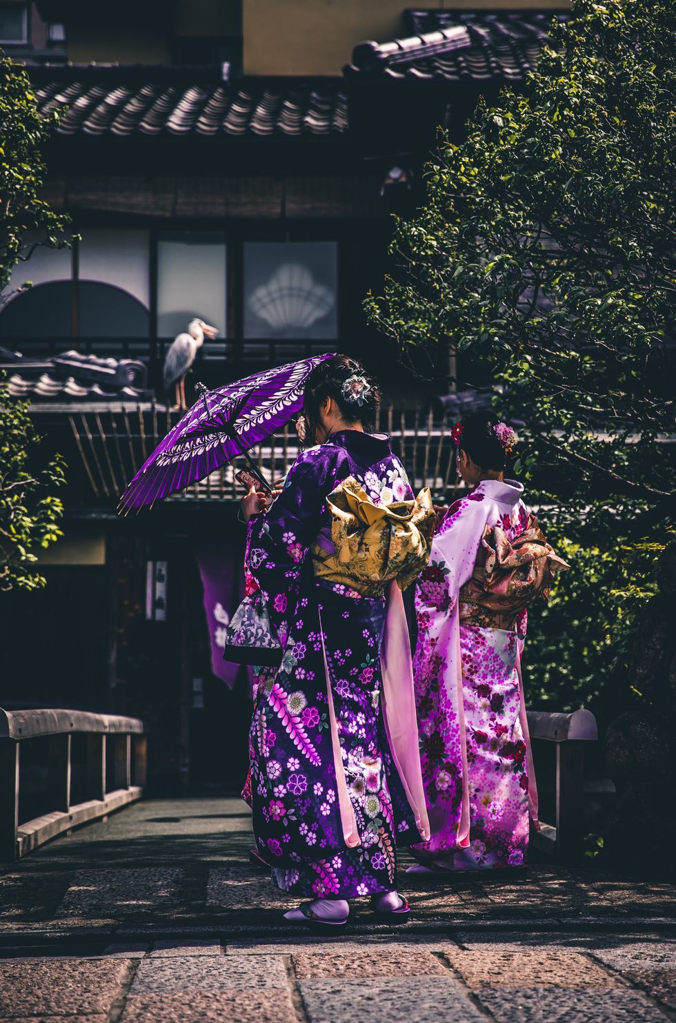 Purple, Pink, Costume, Kimono, Tradition, Tree, Event, Magenta, Performance, Temple, 