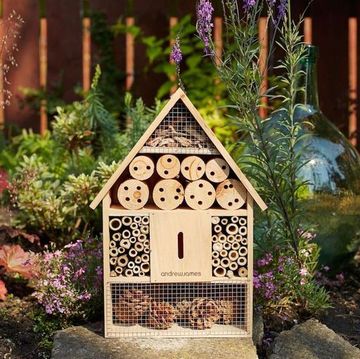 Andrew James bee and insect hotel photo
