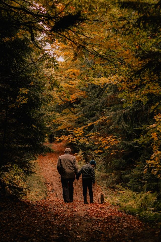 a man and a woman walking a dog on a trail in the woods