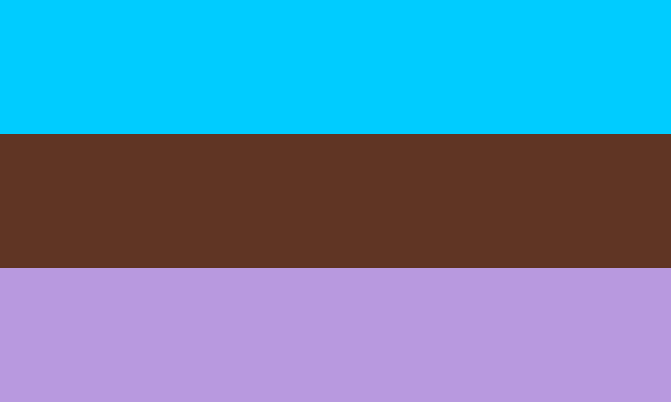 the androsexuality pride flag