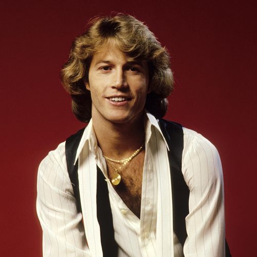 bee gees andy gibb