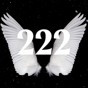 wings around the number 222