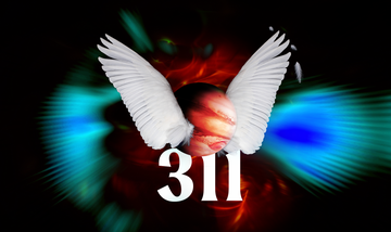 the number 311 under a winged planet