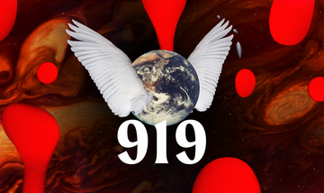 a globe with wings above the number 919