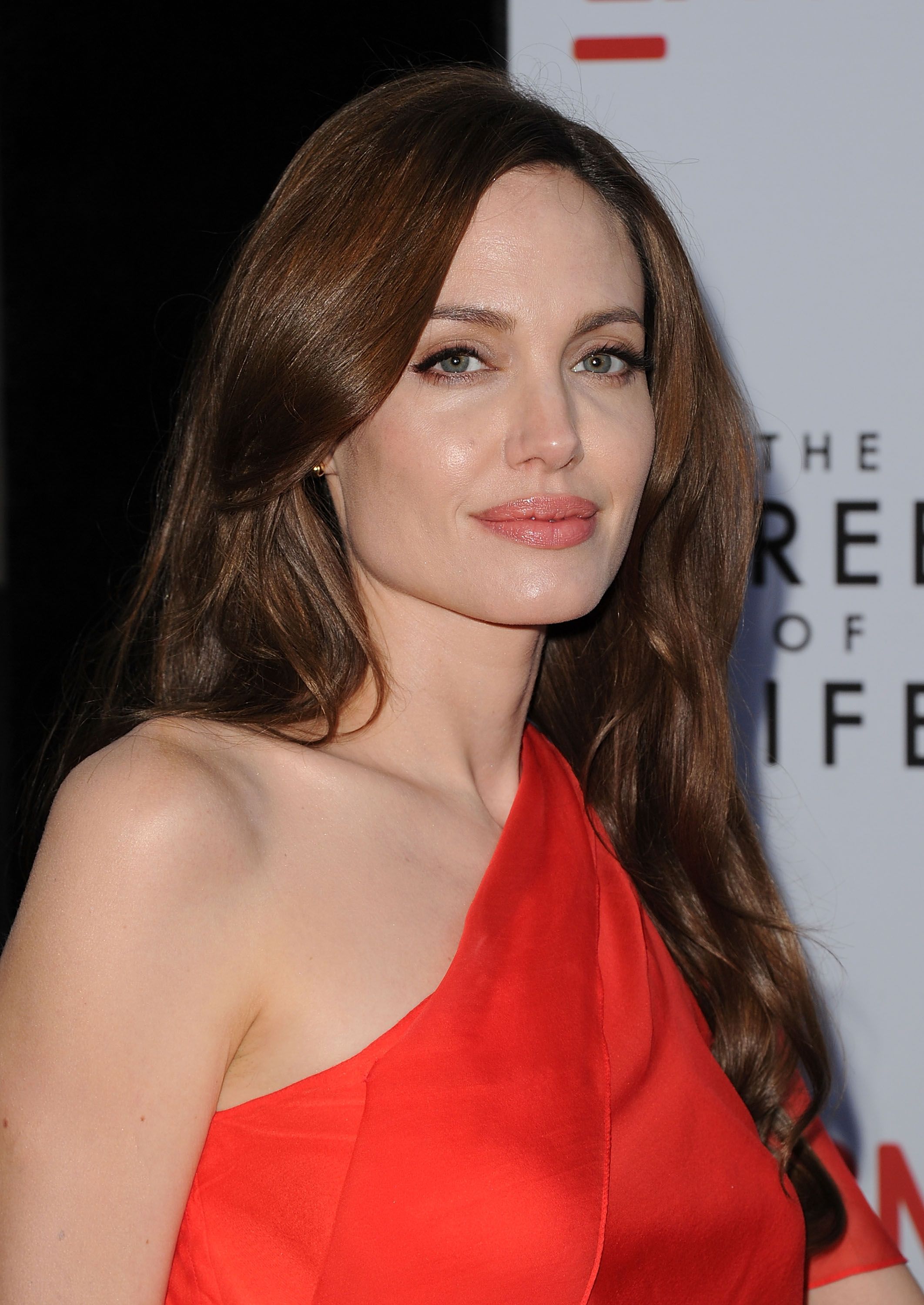 Angelina Jolie: Fotos, últimas notícias, idade, signo e biografia! -  Purepeople