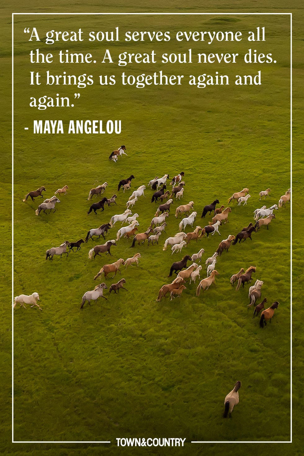 angelou