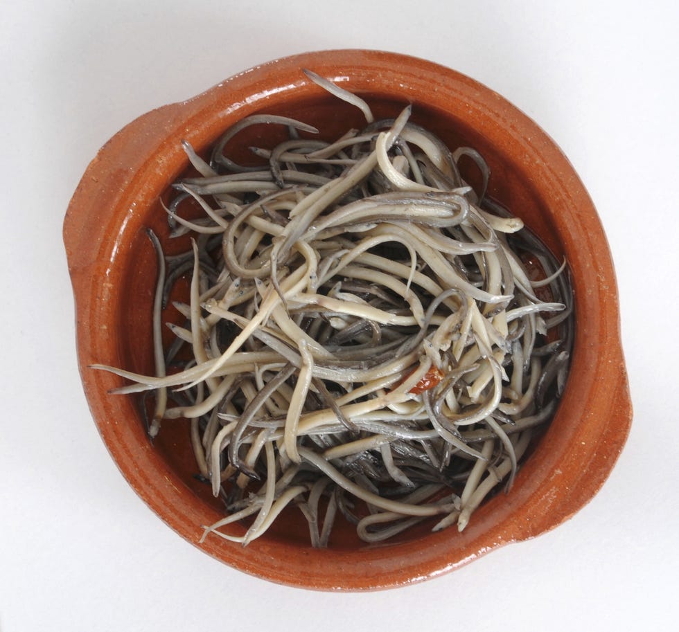angulas