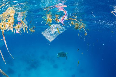 Zeeflora hecht zich rond het wateroppervlak aan plastic verpakkingsmateriaal Daaronder zwemt een groene zeeschildpad weg van het afval