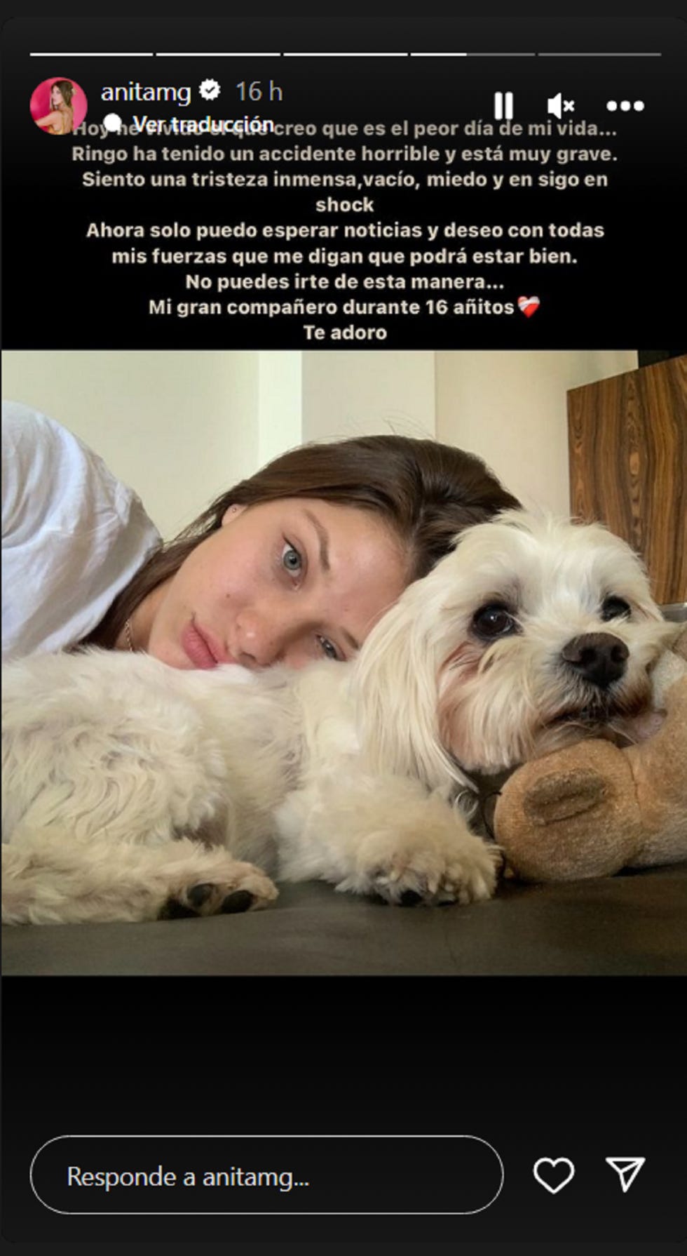 anita matamoros y su perro