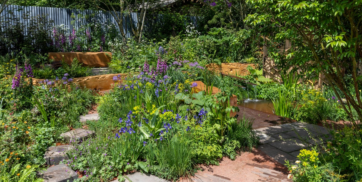 Chelsea Flower Show People's Choice Award Winners Announced