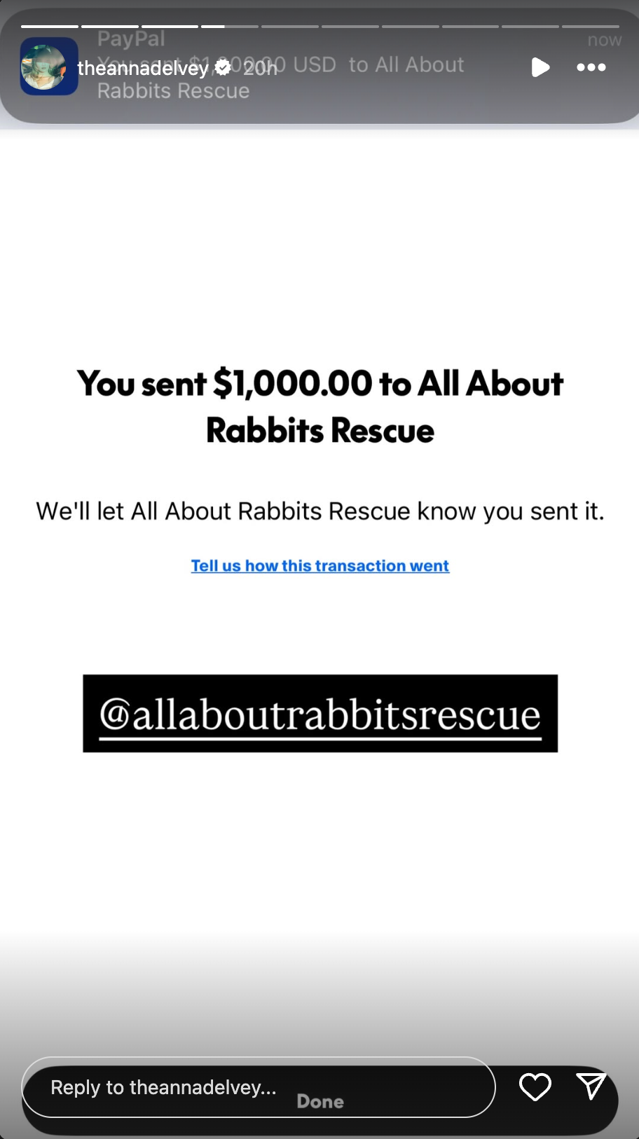 anna delvey claims to make a donation to all about rabbits rescue