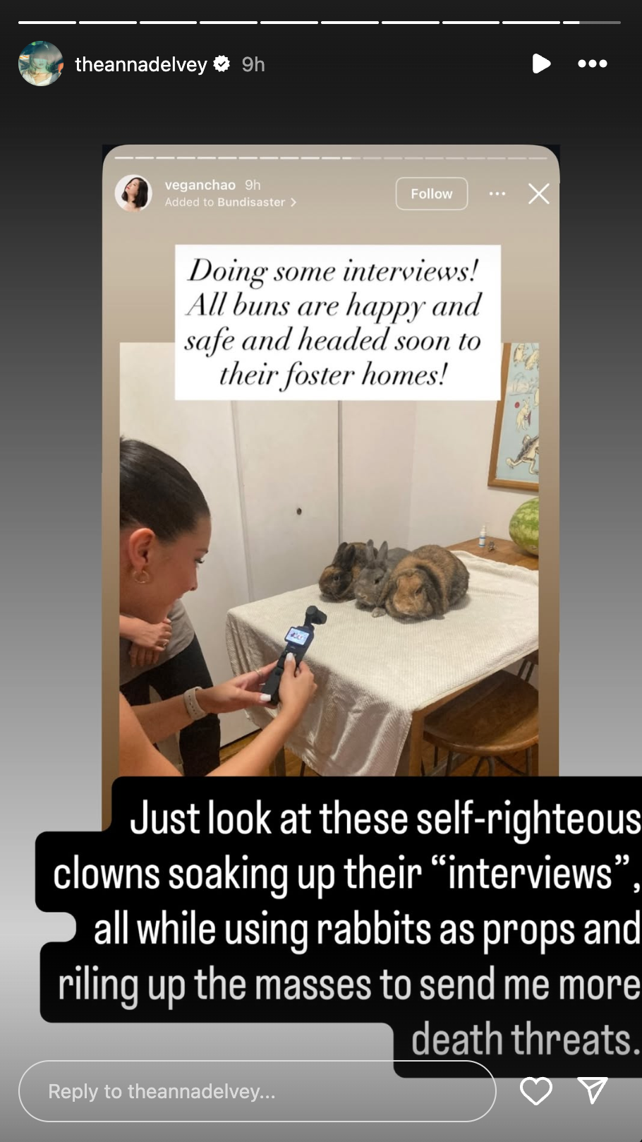 anna delvey posts instagram story attacking rabbit rescuer terry chao