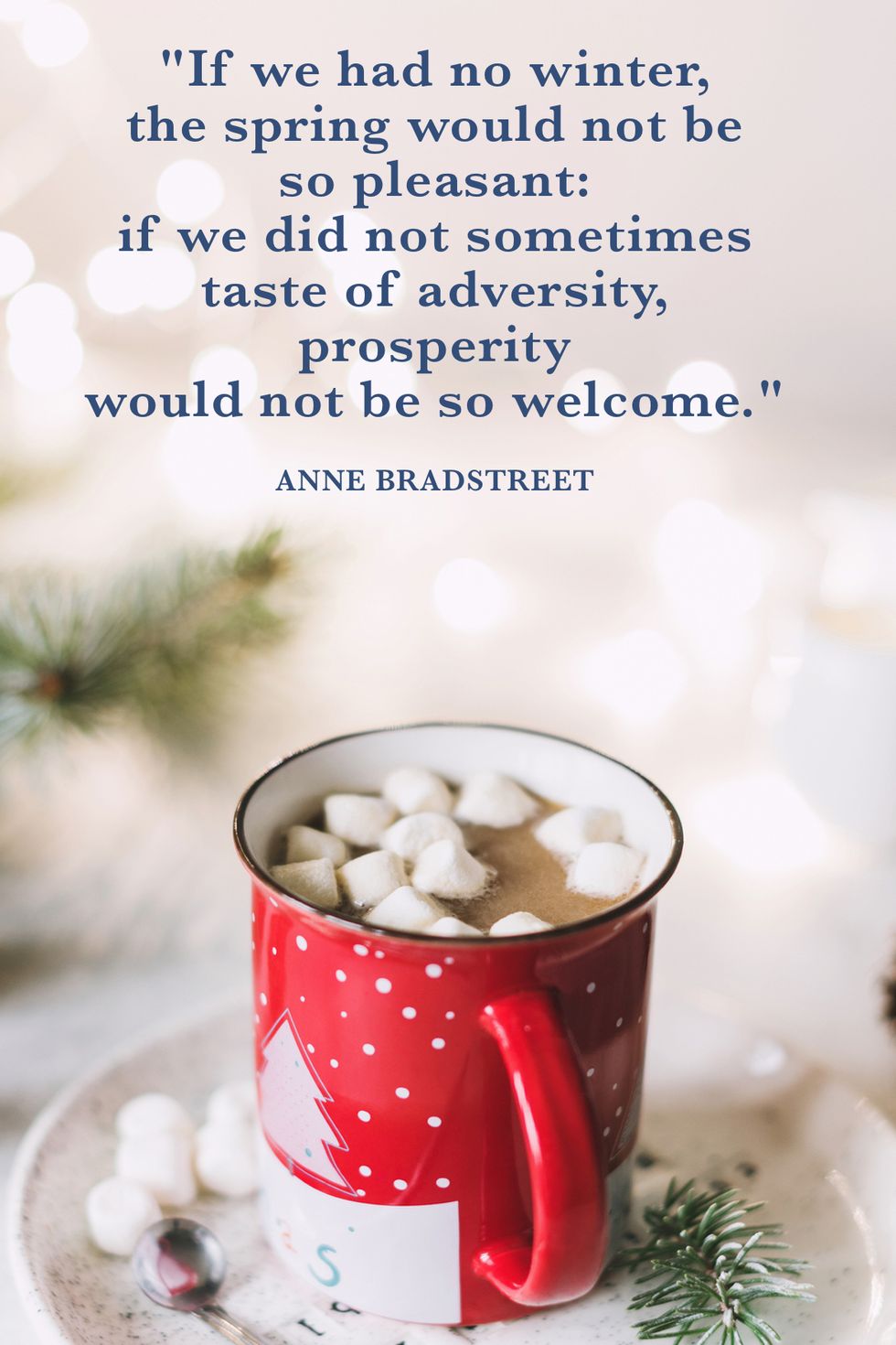 Anne Bradstreet Winter Quotes