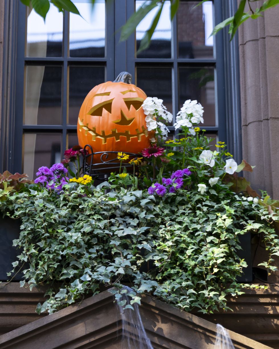 62 Best Outdoor Halloween Decorations to Try in 2024