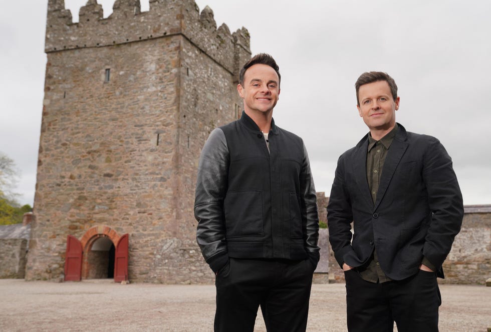 ant and dec's dna journey