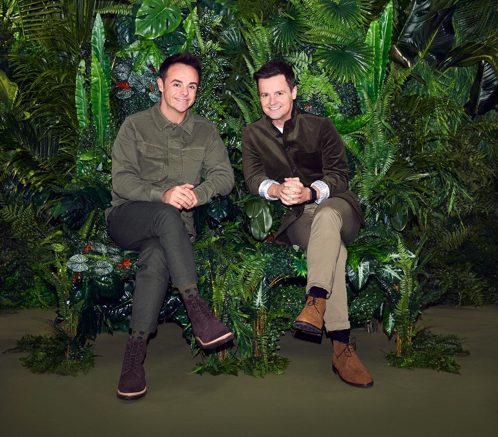 Ant and Dec, I'm a Celebrity 2019