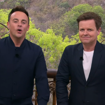 ant and dec, im a celebrity get me out of here south africa