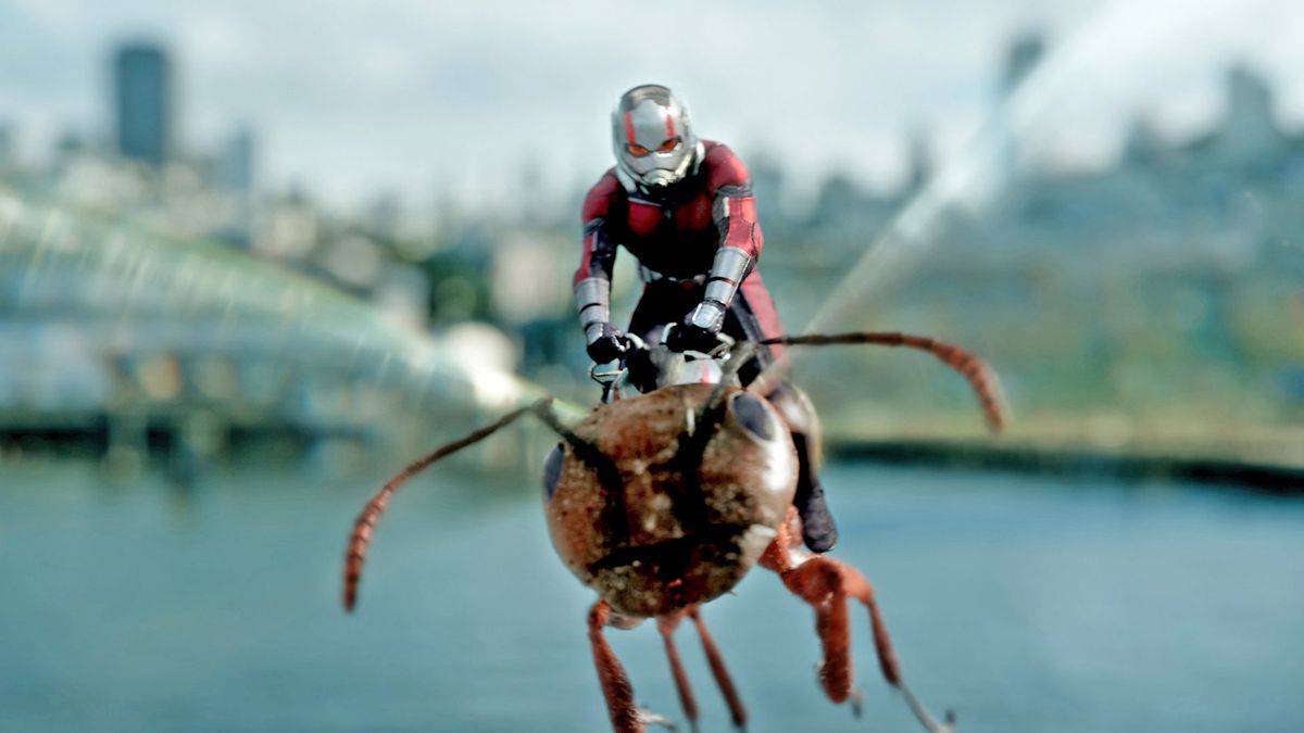 preview for 'Ant-Man y la Avispa: Quantumanía' | Tráiler