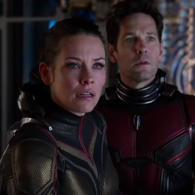 Paul Rudd and Evangeline Lilly to return in Ant-Man and The Wasp:  Quantumania; Kathryn Newton and Jonathan Majors join the cast : Bollywood  News - Bollywood Hungama