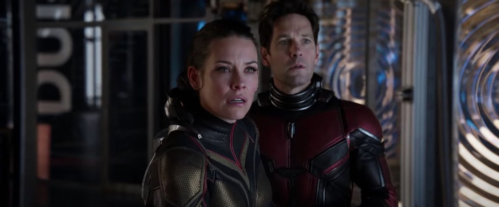 Paul Rudd and Evangeline Lilly to return in Ant-Man and The Wasp:  Quantumania; Kathryn Newton and Jonathan Majors join the cast : Bollywood  News - Bollywood Hungama