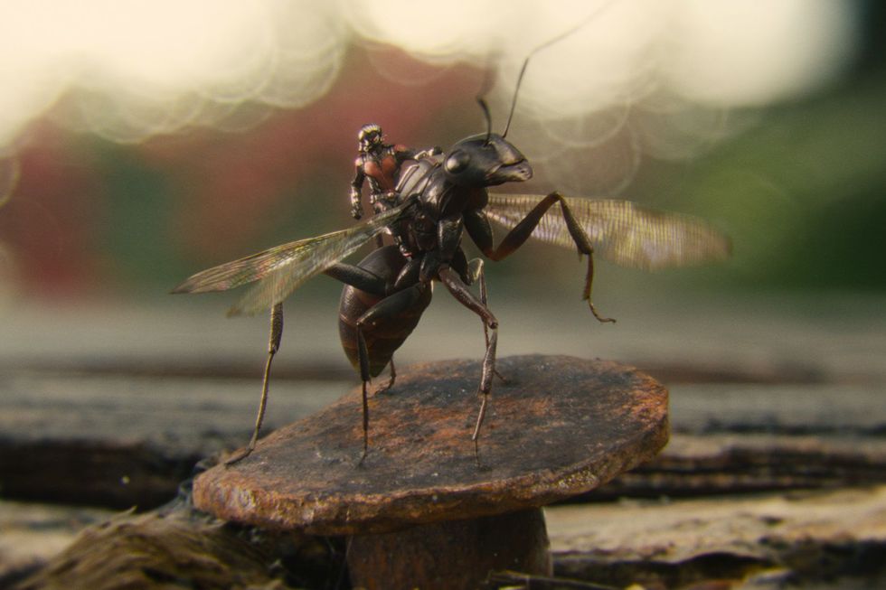 ant thony in ant man
