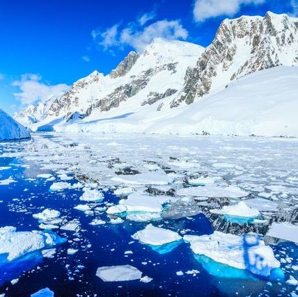 地球温暖化, 南極大陸, ペンギン, 氷, 溶解, 衛星観測, 雪氷学者, 地球, 気候変動, 研究,