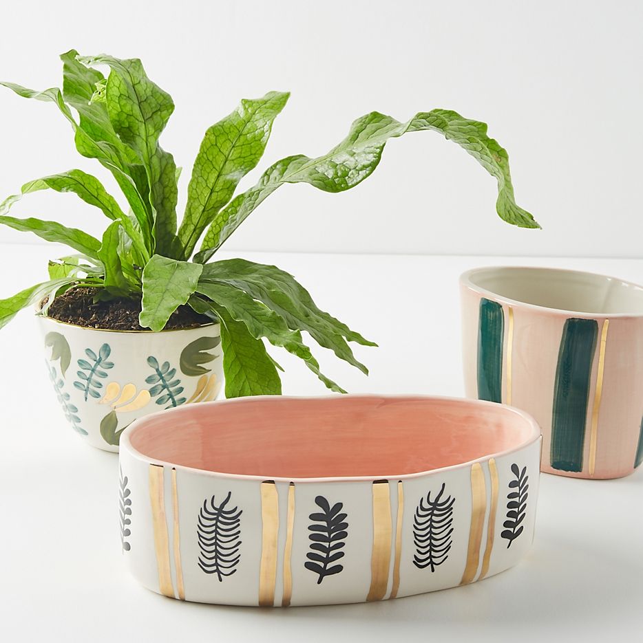 a fern and three hand-painted planters from anthropologie