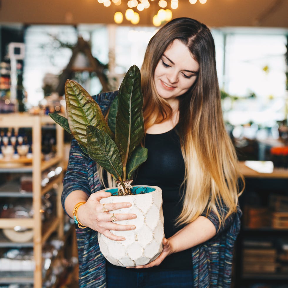 Beauty, Long hair, Plant, Brown hair, 