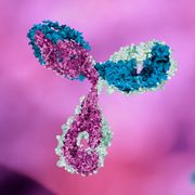 antibody in pink and red background selective focus 3d art